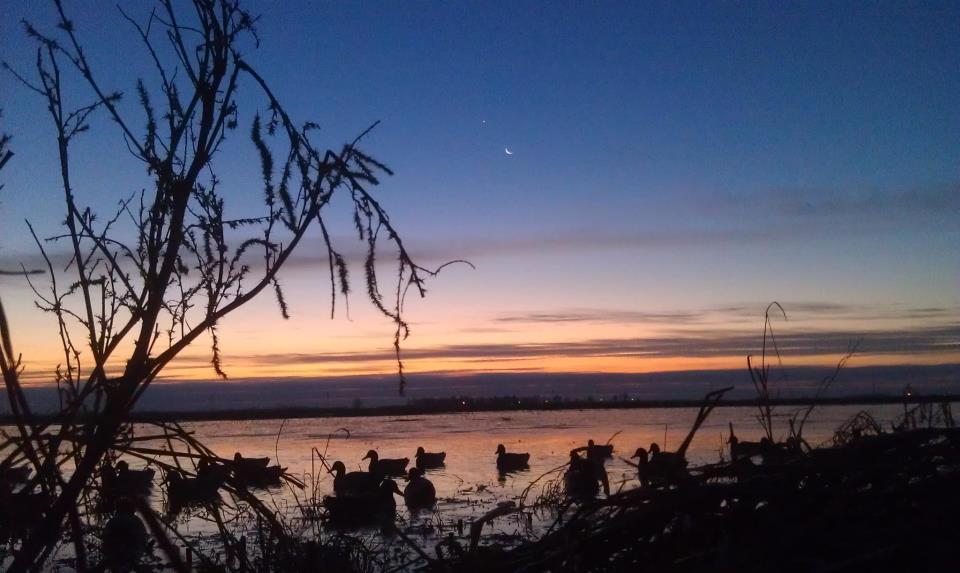 First light over the decoys
